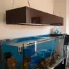 [TodoMarino.com] Nuevo proyecto de 550L