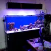 [TodoMarino.com] Nuevo proyecto de 550L