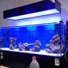 [TodoMarino.com] Nuevo proyecto de 550L