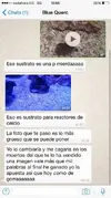 [TodoMarino.com] Asi nos trata Blue quercus.....DE VERGUENZA!