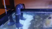 [TodoMarino.com] acuario nano 80l y sump 40l