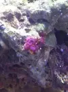 [TodoMarino.com] Mi Pequeña Aventura Marina de 27L