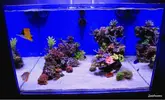 [TodoMarino.com] .....:::::::: Seadreams :::::::::.....