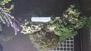 [TodoMarino.com] zoos por la comunidad valenciana