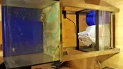 [TodoMarino.com] cambio urna, sump  mesa y pantalla 24w