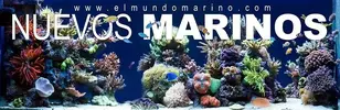 [TodoMarino.com] GRAN LLEGADA de MARINOS, en breve disponibles en www.elmundomarino.com ;)