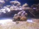 [TodoMarino.com] Agua cada  vez mas blanquecina