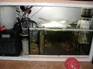 [TodoMarino.com] Reef marino tropical + sump refugio