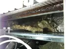 [TodoMarino.com] Reef marino tropical + sump refugio