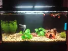 [TodoMarino.com] Horas luz 60litros