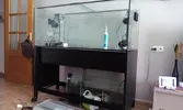 [TodoMarino.com] Nuevo en este mundo