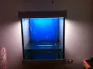 [TodoMarino.com] Diario de mi primer marino. Cubo 150 lt