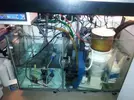 [TodoMarino.com] Plaga algas filamentosas alarmante