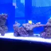 [TodoMarino.com] Nuevo proyecto de 550L