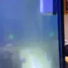 [TodoMarino.com] Nuevo proyecto de 550L