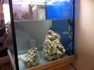 [TodoMarino.com] Diario de mi primer marino. Cubo 150 lt
