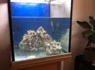[TodoMarino.com] Diario de mi primer marino. Cubo 150 lt