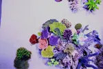[TodoMarino.com] .....:::::::: Seadreams :::::::::.....