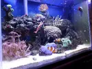 [TodoMarino.com] Mi Pequeña Aventura Marina de 27L