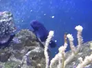 [TodoMarino.com] Mi Pequeña Aventura Marina de 27L