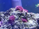 [TodoMarino.com] Mi Pequeña Aventura Marina de 27L