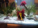[TodoMarino.com] Mi Nano