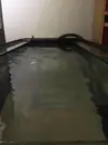 [TodoMarino.com] Coral_Alga_plus