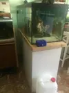 [TodoMarino.com] Coral_Alga_plus