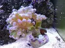 [TodoMarino.com] Mi Pequeña Aventura Marina de 27L