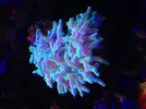 [TodoMarino.com] Barras de led