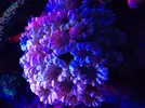 [TodoMarino.com] Barras de led