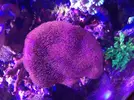 [TodoMarino.com] Barras de led