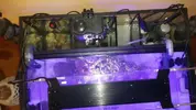 [TodoMarino.com] acuario nano 80l y sump 40l