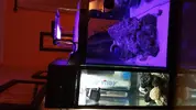 [TodoMarino.com] acuario nano 80l y sump 40l