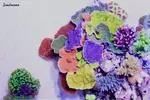 [TodoMarino.com] .....:::::::: Seadreams :::::::::.....