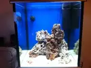[TodoMarino.com] Diario de mi primer marino. Cubo 150 lt