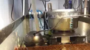 [TodoMarino.com] algassss