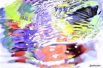 [TodoMarino.com] .....:::::::: Seadreams :::::::::.....