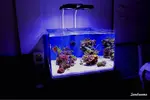 [TodoMarino.com] .....:::::::: Seadreams :::::::::.....
