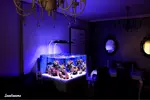 [TodoMarino.com] .....:::::::: Seadreams :::::::::.....