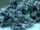 [TodoMarino.com] mi primer acuario marino 240l