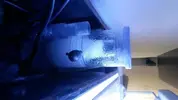 [TodoMarino.com] Duda Nano skimmer Blau