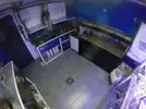 [TodoMarino.com] El renacer de Japonaco Reef solopeces cubos y sumproom