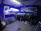 [TodoMarino.com] El renacer de Japonaco Reef solopeces cubos y sumproom