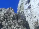 [TodoMarino.com] Que es esto?