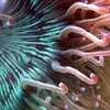 [TodoMarino.com] LLEGADA MARINOS (fotos REALES)