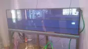 [TodoMarino.com] novato iniciando un 1000L