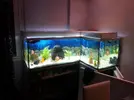 [TodoMarino.com] novato iniciando un 1000L