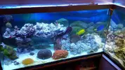 [TodoMarino.com] novato iniciando un 1000L