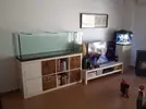 [TodoMarino.com] aquascaping 360 litros desde cero